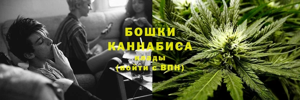 дурь Михайловск
